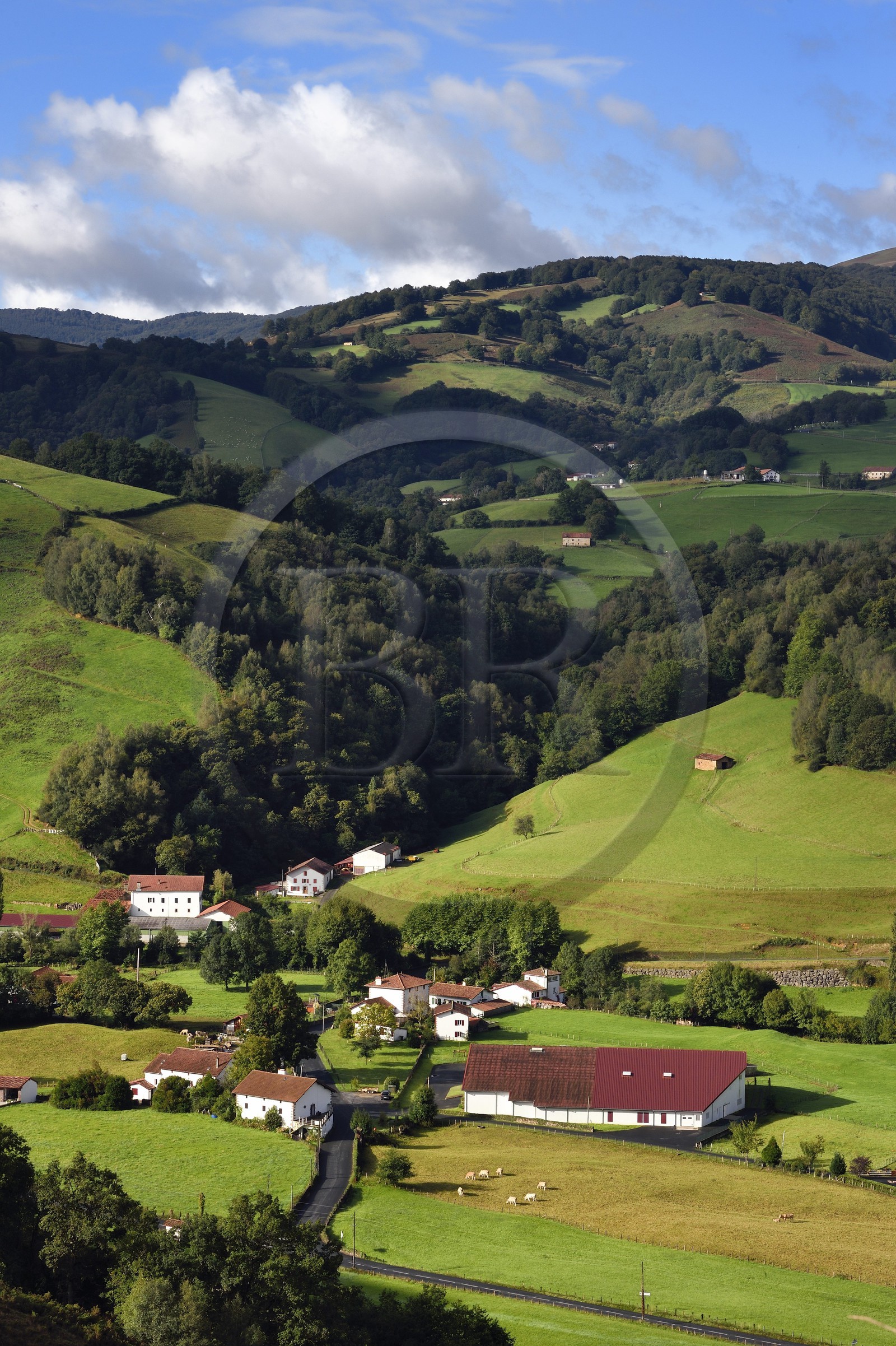 France, Pyrénées-Atlantiques (64), Pays-Basque, vallée des Aldudes, le Séchoir Collectif des Aldudes assure une prestation de séchage et l'affinage de jambons (grand batiment à droite)