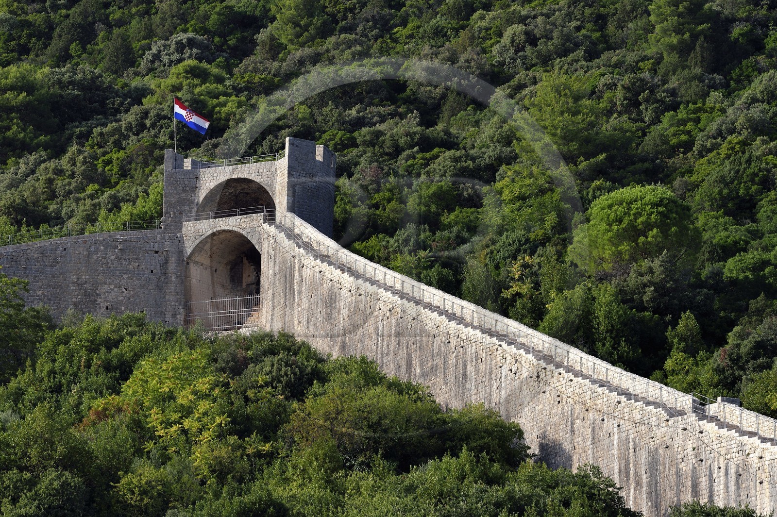 Croatie, Dalmatie, cote dalmate, presqu'ile de Peljesac, les remparts de la vieille-ville de Ston