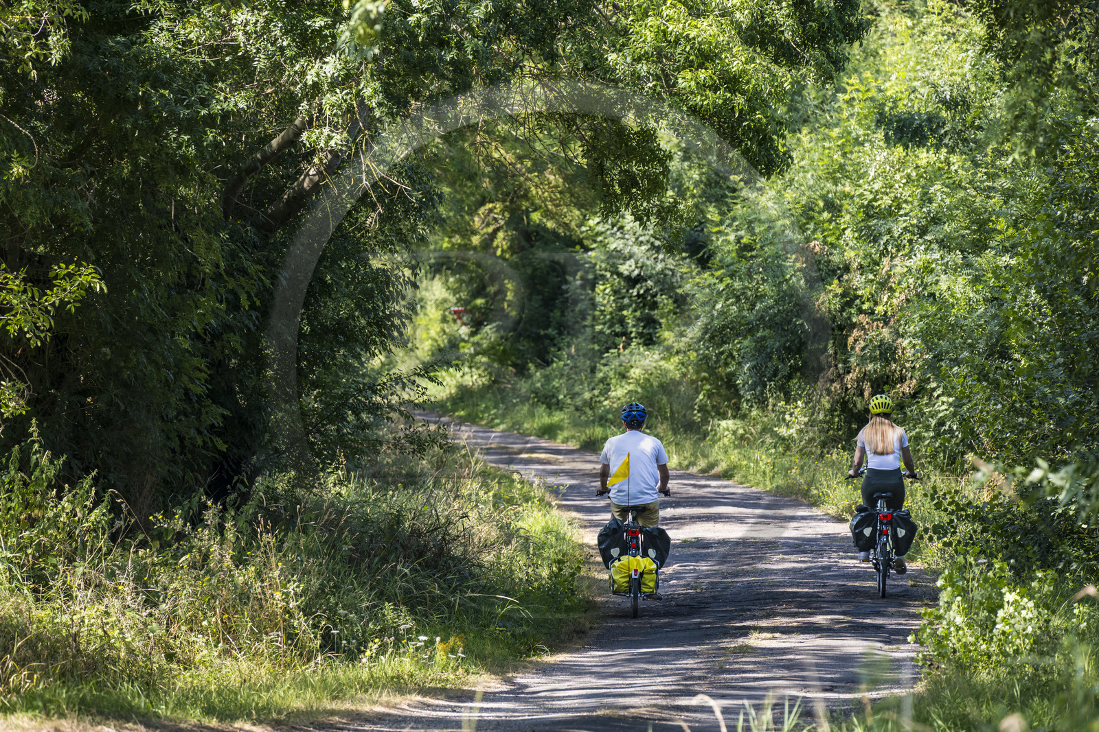 France, Maine-et-Loire (49), vallée de la Loire classée au Patrimoine Mondial par l'UNESCO, Saumur vers Saint-Hilaire, randonnée à bicyclette le long des berges de la Loire sur la piste cyclable La Loire à Vélo, vélo avec une remorque transportant le matériel de camping