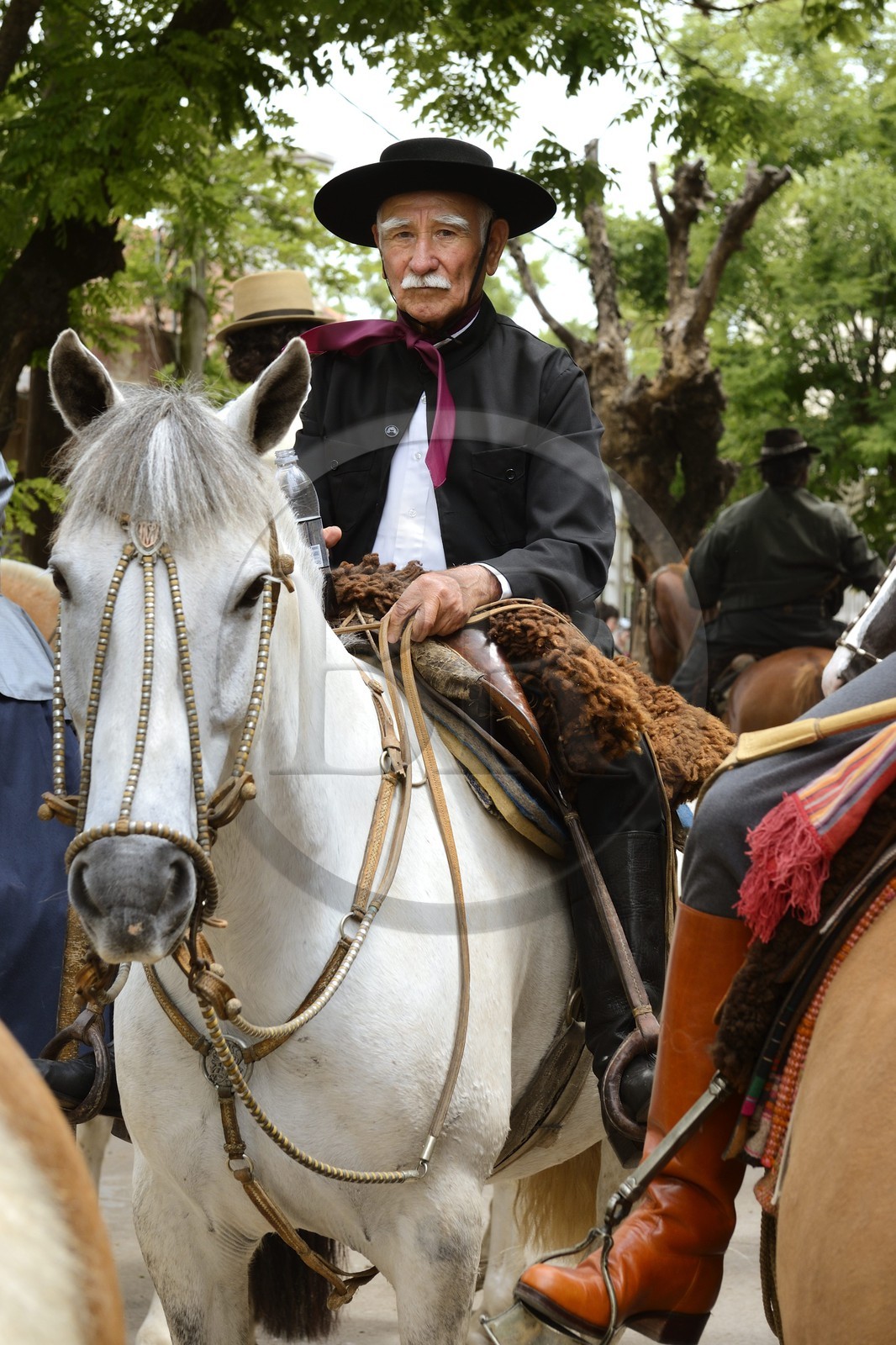 Argentine, province de Buenos Aires, San Antonio de Areco, fête du Jour de la Tradition (Dia de la Tradicion), défilé de gauchos à cheval en habit traditionnel