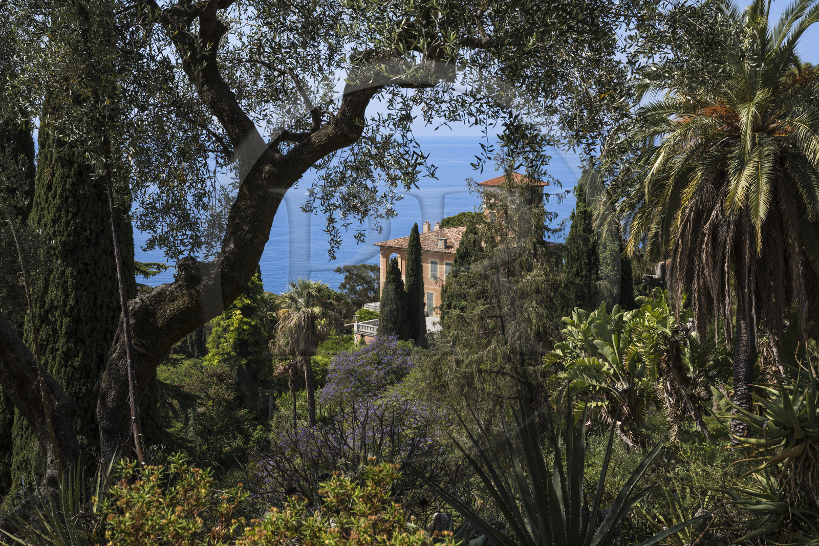 Italie, Ligurie, Province d'Imperia, Vintimille, Jardin botanique Hanbury, Palazzo Orengo