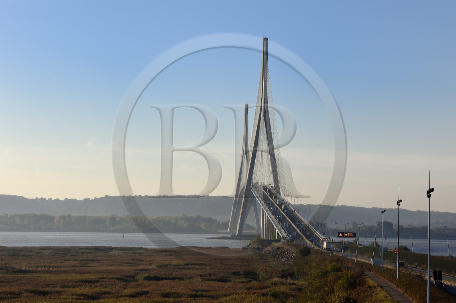 France, Seine-Maritime (76), Réserve Naturelle de l'estuaire de la Seine et pont de Normandie, la roselière au premier plan