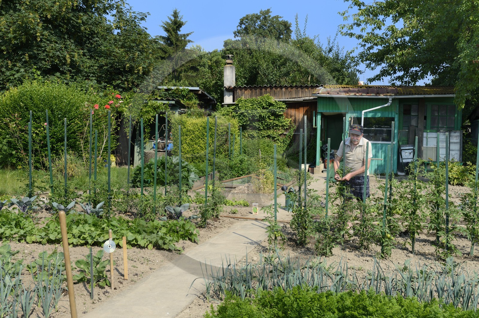 France, Bas-Rhin (67), Strasbourg, quartier de la Robertsau, jardins ouvriers