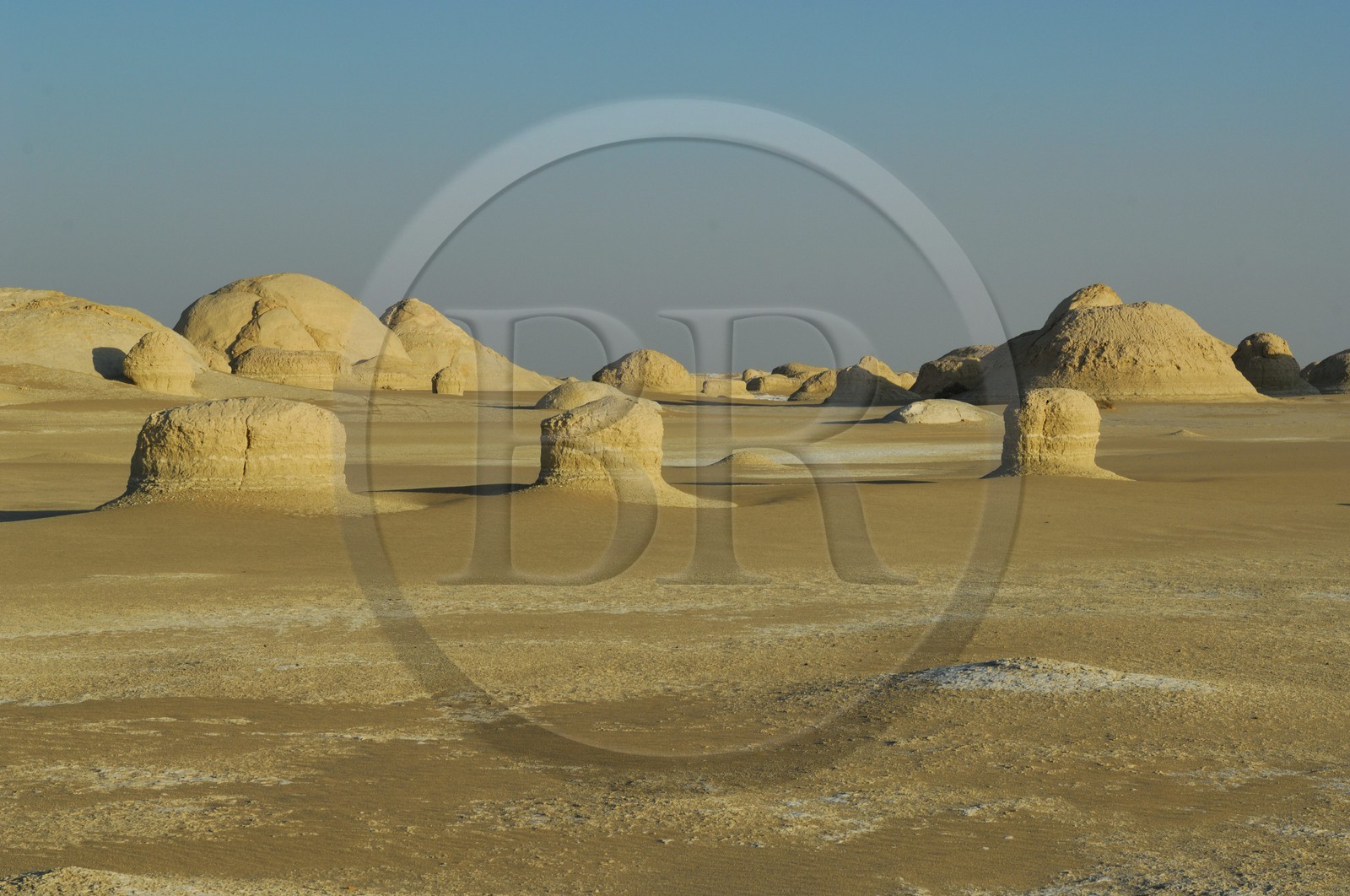 Egypte, désert libyque, le Désert Blanc au nord de Farafra