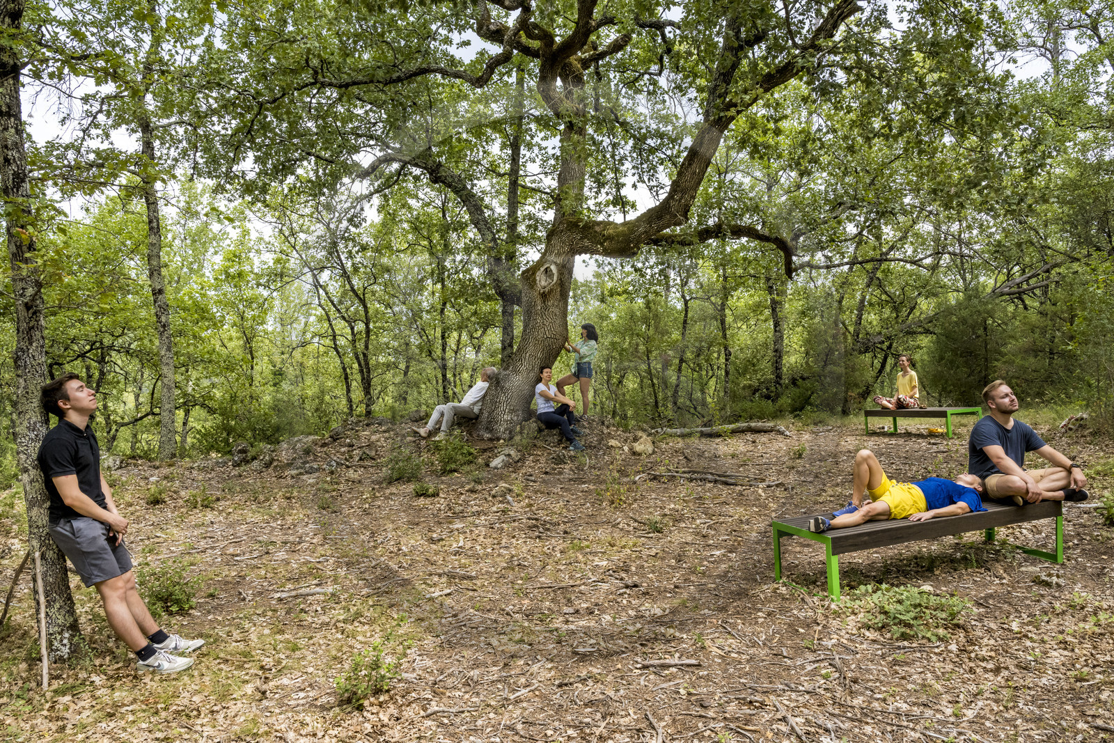 France, Var (83), Provence Verte, Bras, Académie du Bain de Forêt Provençale, forêt du domaine Le Peyrourier - une campagne en Provence, Constanze Coisne guide le Shinrin Yoku