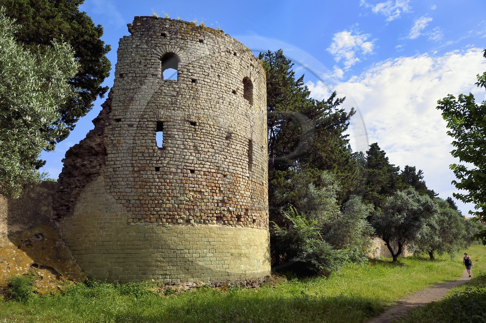 France, Var, Frejus, Forum Julii, Roman tower in the northern ramparts of the Roman city in the Clos de la Tour garden