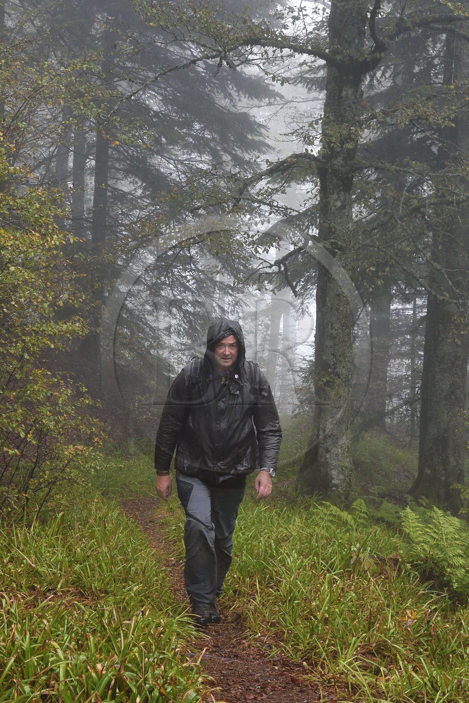 France, Vosges (88), Parc naturel régional des ballons des Vosges, Saint-Maurice-sur-Moselle, Claude Michel, responsable du pôle nature et biodiversité du Parc naturel régional des Ballons des Vosges
