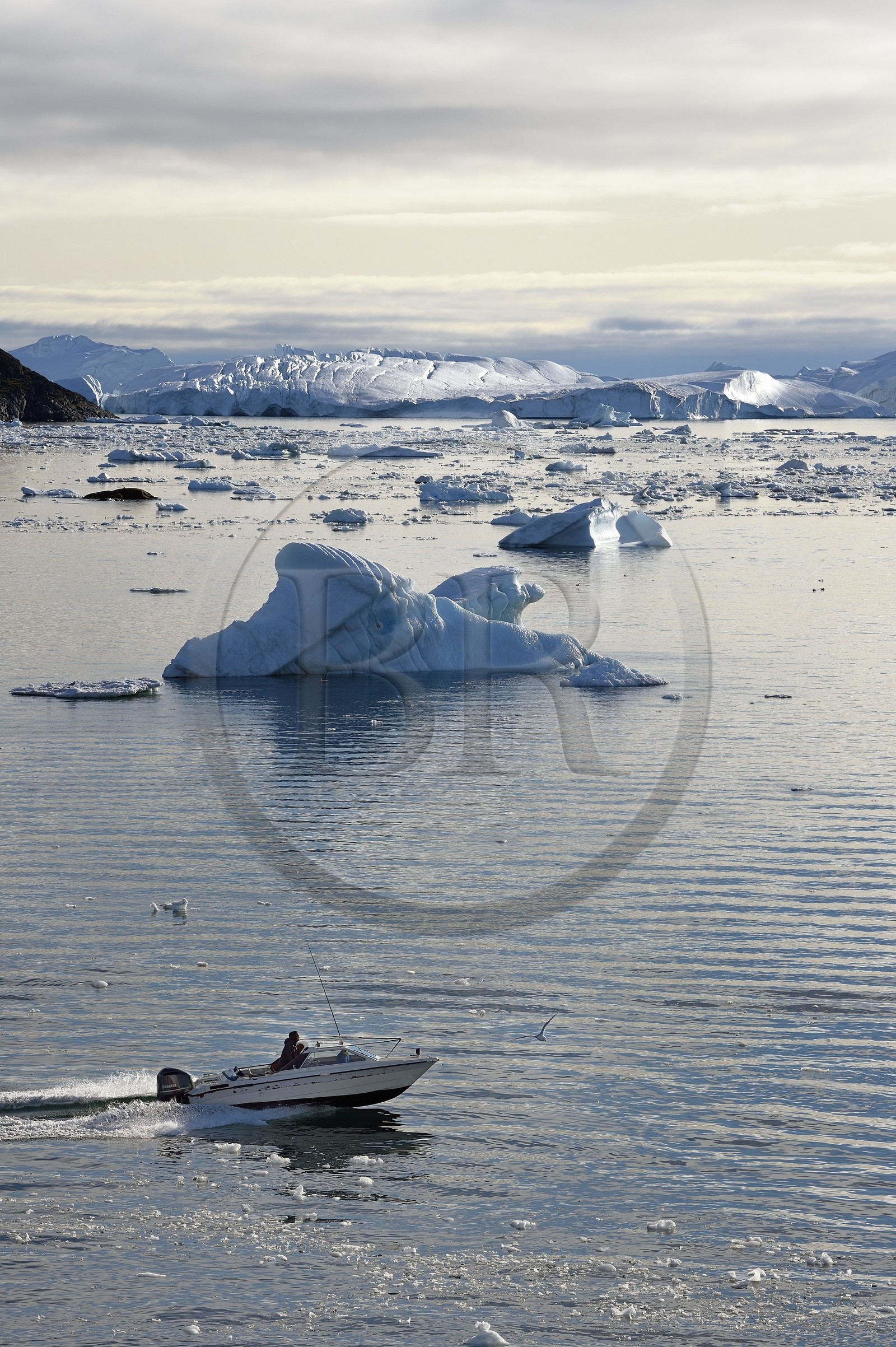 Groenland, cote ouest, baie de Disko, Ilulissat, hors-bord traversant le site du fjord glacé classé Patrimoine Mondial de l'UNESCO