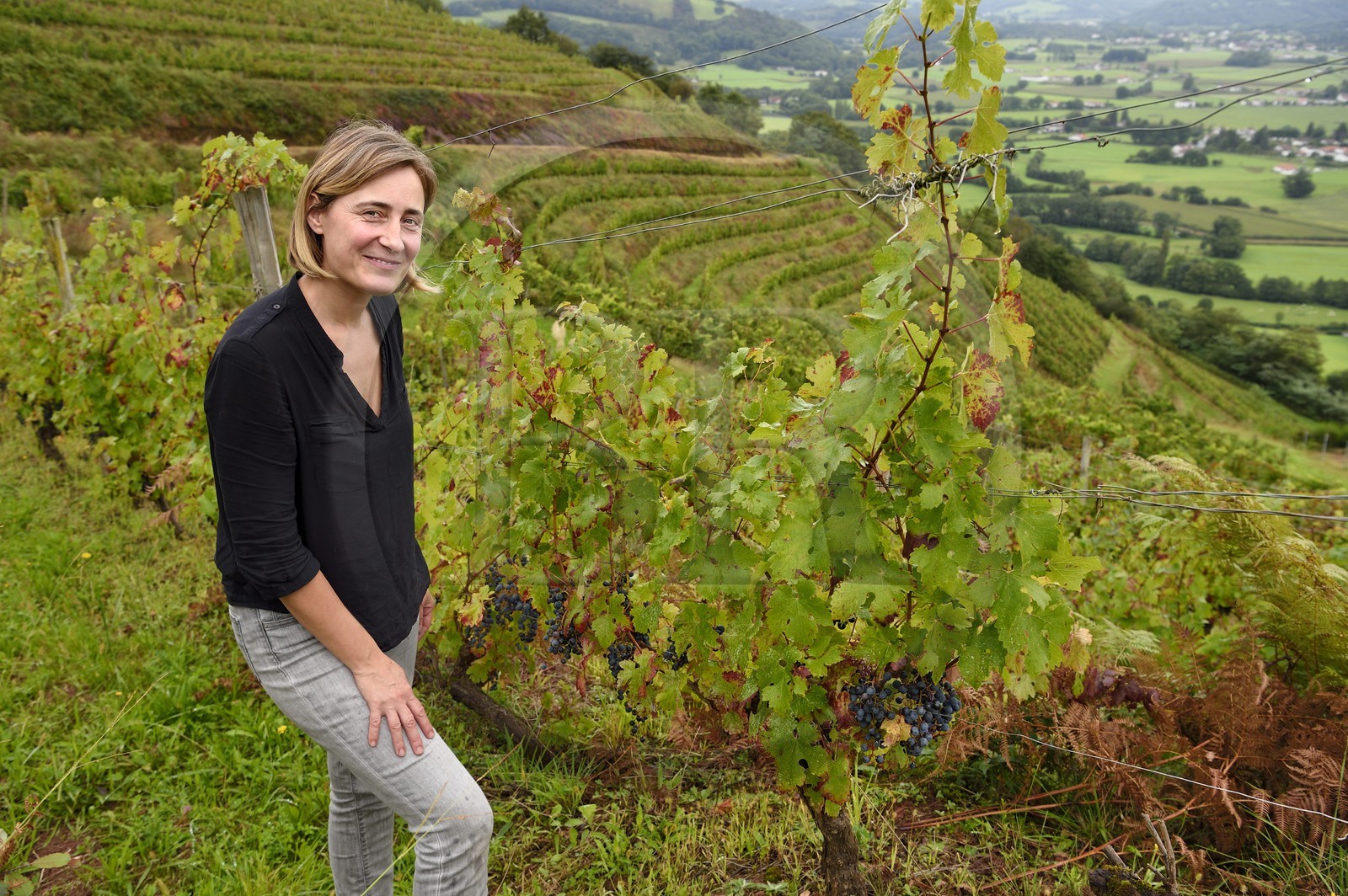 France, Pyrénées-Atlantiques (64), Pays-Basque, Saint-Jean-Pied-de-Port, Ispoure, vignoble du Domaine Mourguy, AOC Irouleguy, Florence Mourguy