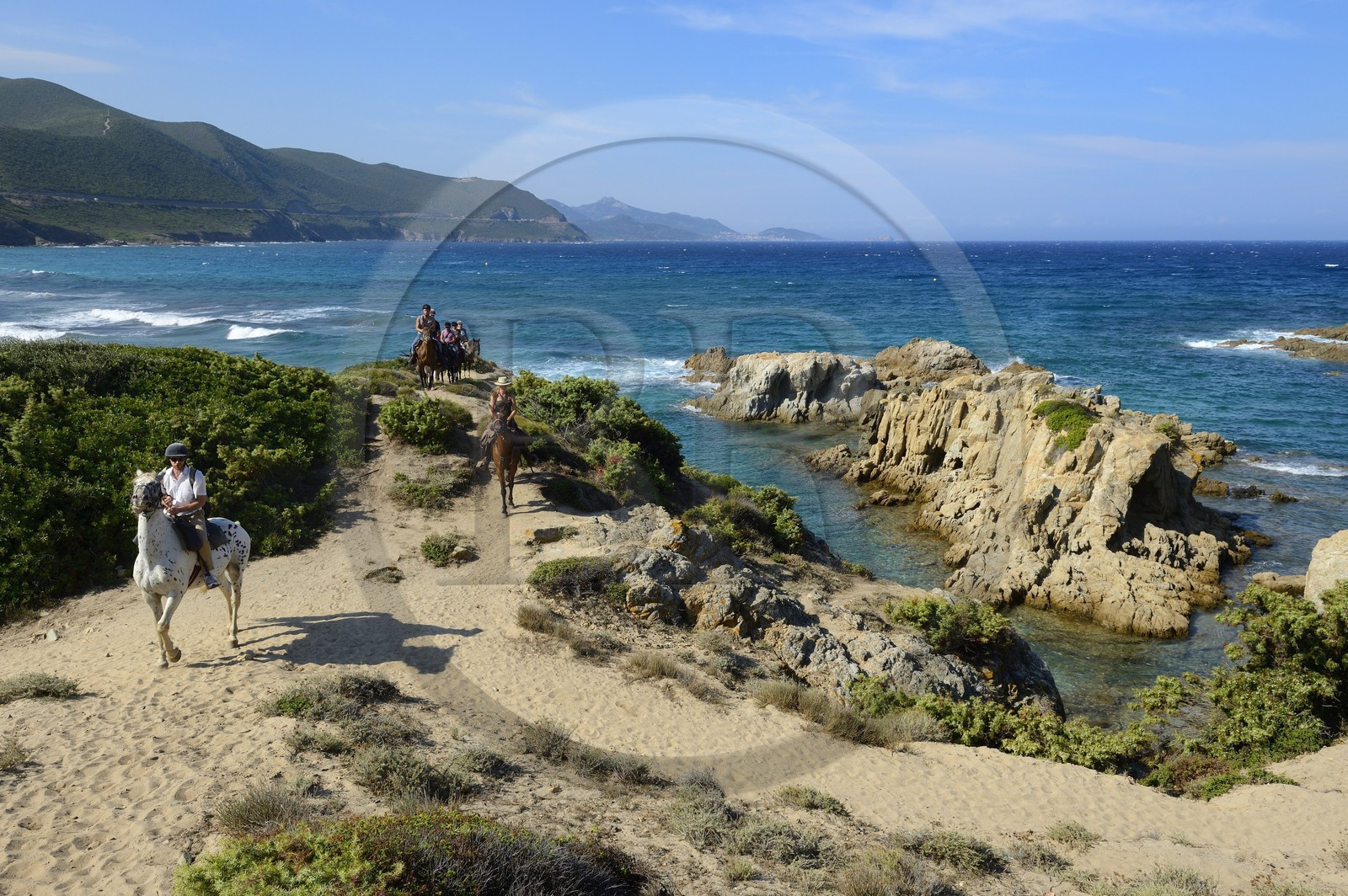 France, Haute-Corse (2B), Nebbio, désert des Agriates, Anse de Peraiola, cavaliers à l'Est de la plage d'Ostriconi