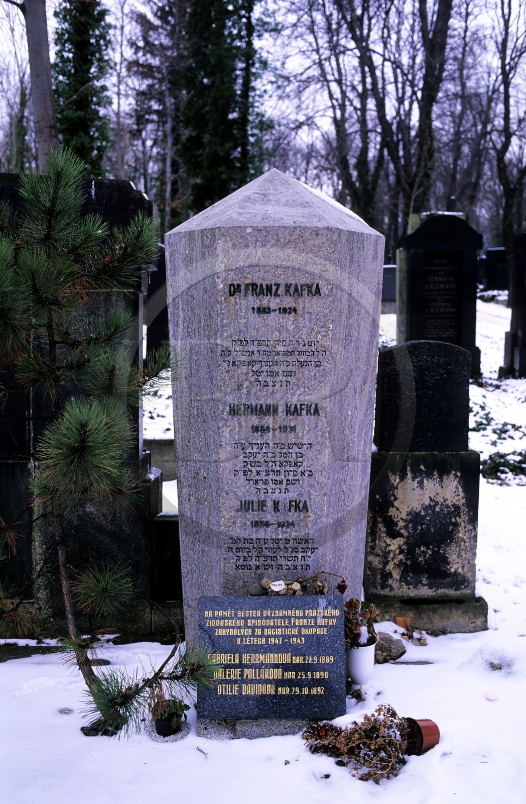 Czech Republic, Prague, new Jewish cemetery, grave of Kafka