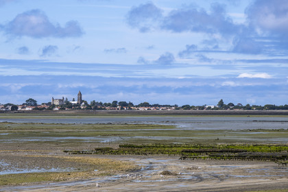 France, Vendée (85), île de Noirmoutier, Noirmoutier-en-l'Ile, le château et l'église Saint-Philbert, la mer à marée basse au premier plan