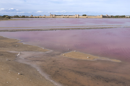 France, Gard, Aigues Mortes, the medieval town surrounded by its ramparts on the edge of the salt marshes (Salins du Midi) (aerial view)