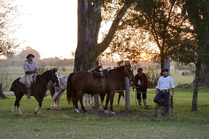 Argentine, province de Buenos Aires, San Antonio de Areco, gauchos dans l'estancia La Bamba de Areco