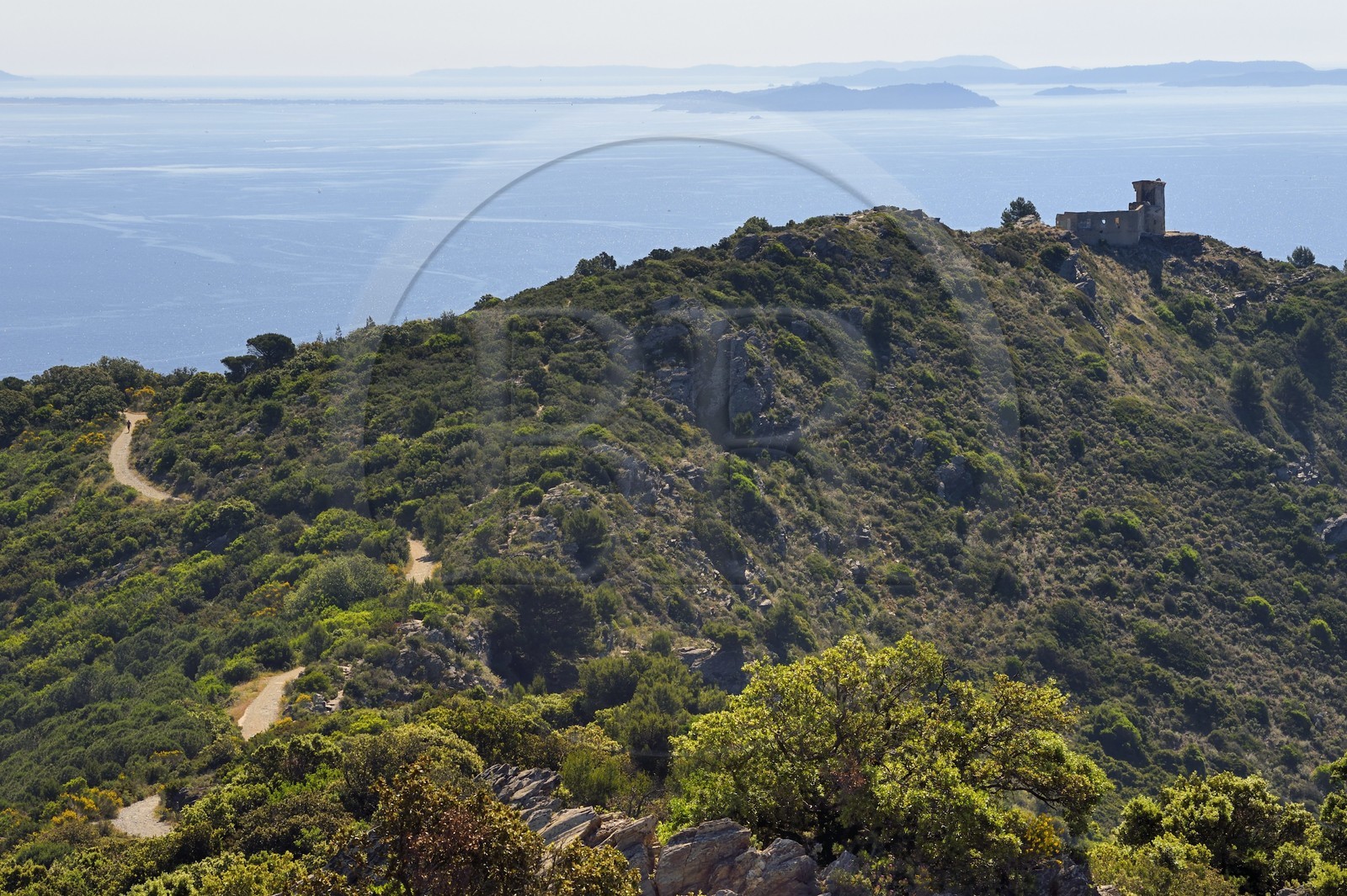 France, Var, La Seyne sur Mer, hike in the Cap Sicie massif towards Notre-Dame du Mai chapel, the old semaphore of the cape, the peninsula of Giens and the islands of Hyères in the background