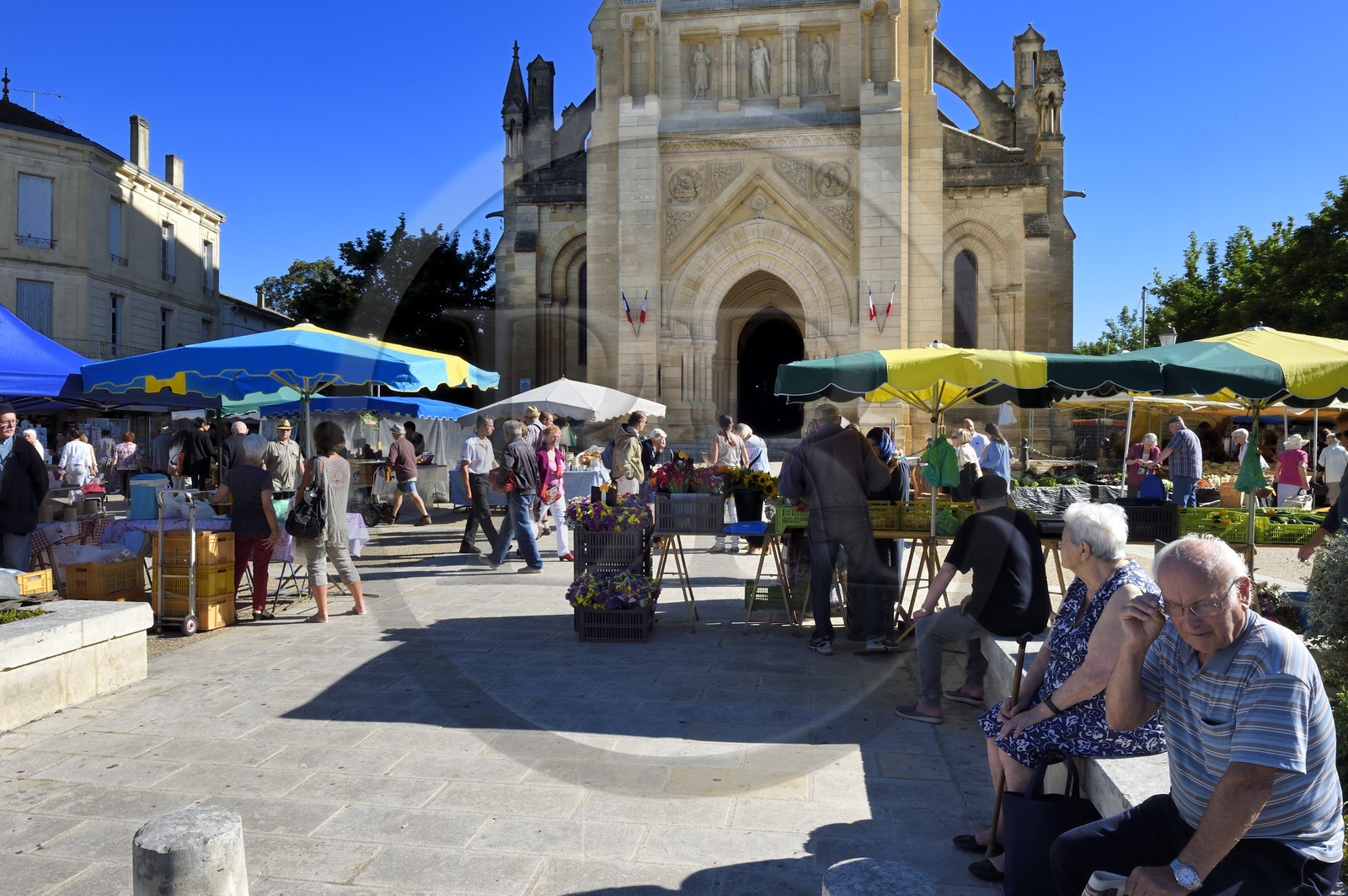 France, Dordogne, purple Perigord, Bergerac, market at the foot of the Notre Dame church
