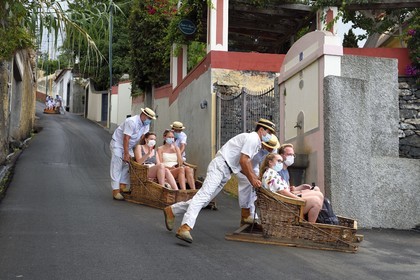 Portugal, Ile de Madère, Funchal, touristes effectuant la descente depuis le jardin tropical en traditionnel panier d'osier sur la route camino do Monte