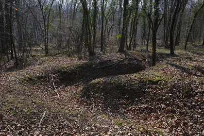 France, Meuse, Verdun area, trenches marks around the Fort Souville, communication trench