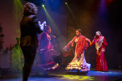 Spain, Catalonia, Barcelona, City Hall Barcelona, Flamenco dance show