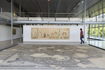 France, Rhone, Lyon, Saint Romain en Gal, Gallo-Roman Museum of Saint-Romain-en-Gal, the Palestra games mural coming from the Wrestlers baths latrines and mosaic of the Athletes Winners on the Ground