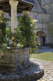 France, Loir et Cher, Chateau de Talcy, well with roses that might have inspired the poet Ronsard