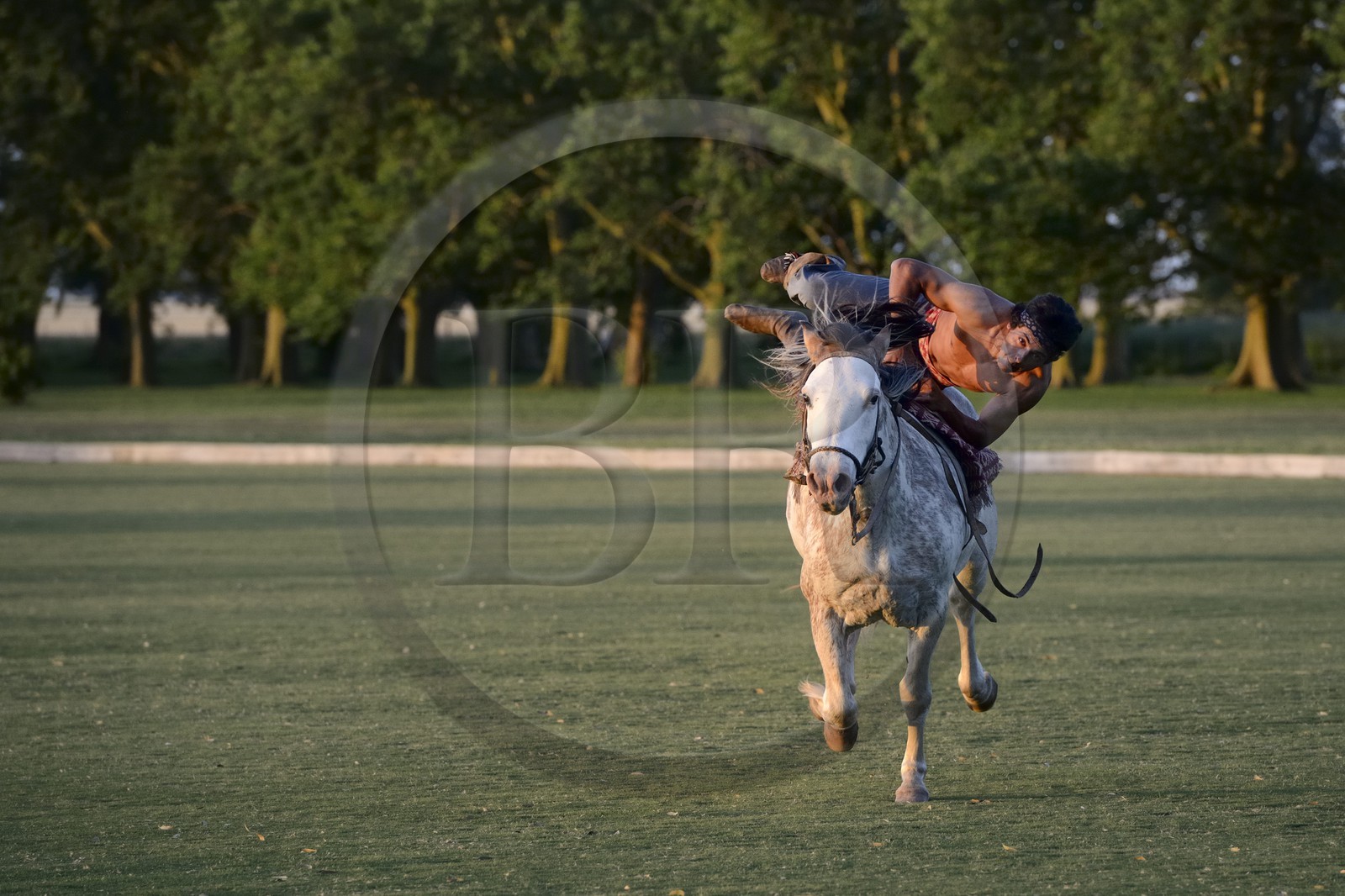 Argentina, Buenos Aires Province, San Antonio de Areco, estancia La Bamba de Areco, demonstration of the skills of an Amerindian rider with his horse