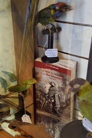 France, Alpes-de-Haute-Provence (04), vallée de l'Ubaye, Barcelonnette, villa mexicaine connue sous le nom de Villa Sapinière, Musée de la vallée, le barcelonnette, industriel et grand voyageur mais aussi naturaliste, collectionneur, chroniqueur, Emile Chabrand en costume mexicain charro sur la couverture de son livre