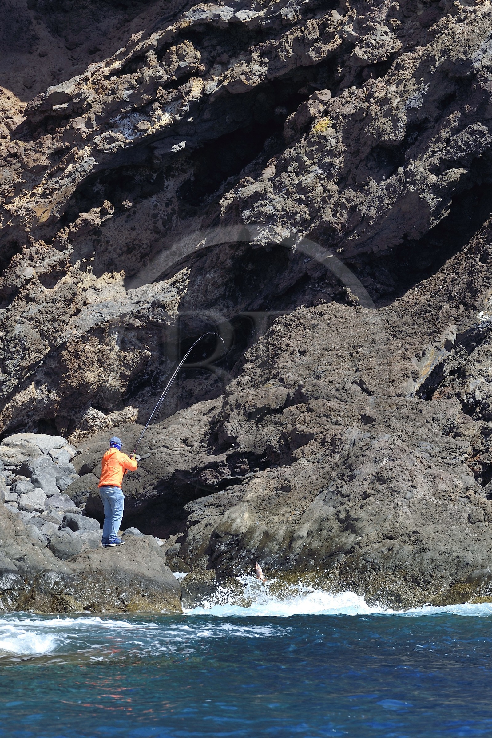 Portugal, Ile de Madère, randonnée dans la réserve naturelle de la Ponta de Sao Lourenço (pointe Saint Laurent) à l'extrême Est de l'ile, pecheur à la ligne qui vient d'attraper un poisson