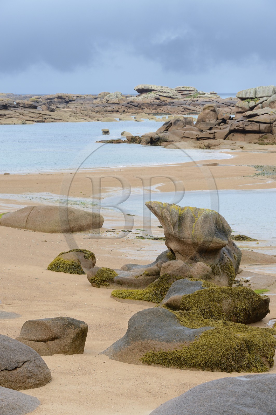 France, Cotes-d'Armor, Cote de Granit Rose (the Pink Granite coast), Tregastel, Renote island