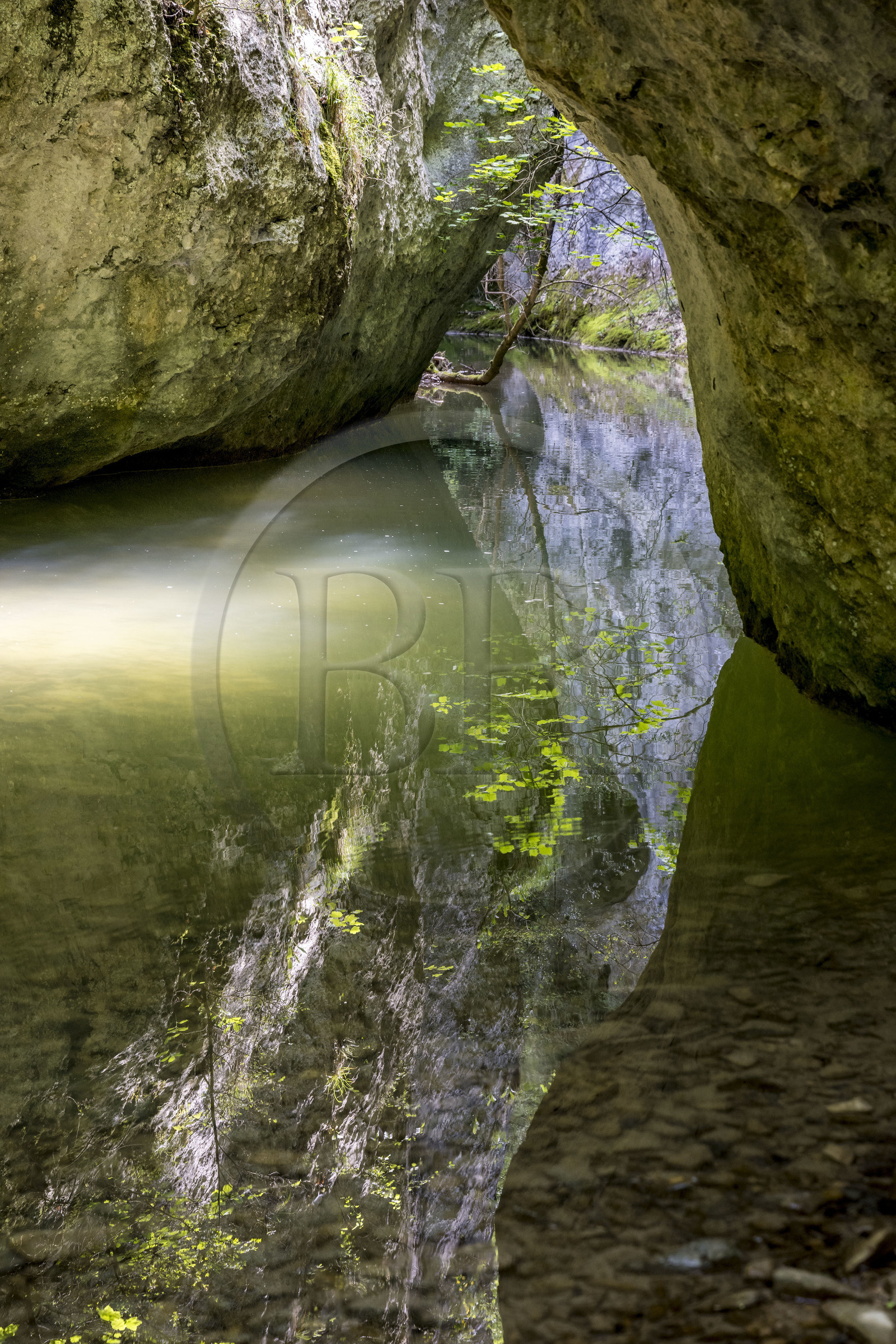 France, Vaucluse (84), Parc naturel régional du Mont Ventoux, Monieux, Gorges de La Nesque, la Nesque