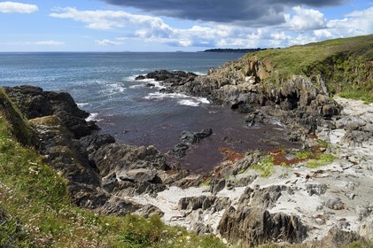 France, Finistère (29), Moelan-sur-Mer, le littoral entre Kerfany les Pins et la plage de Trenez sur le chemin de Grande Randonnée GR 34 ou sentier des douaniers