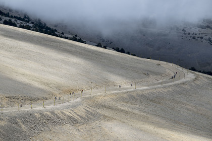 France, Vaucluse, Parc Naturel Regional du Mont Ventoux, Bedoin, bike ascent of Mont Ventoux by the D974 road on the southern slope towards the summit
