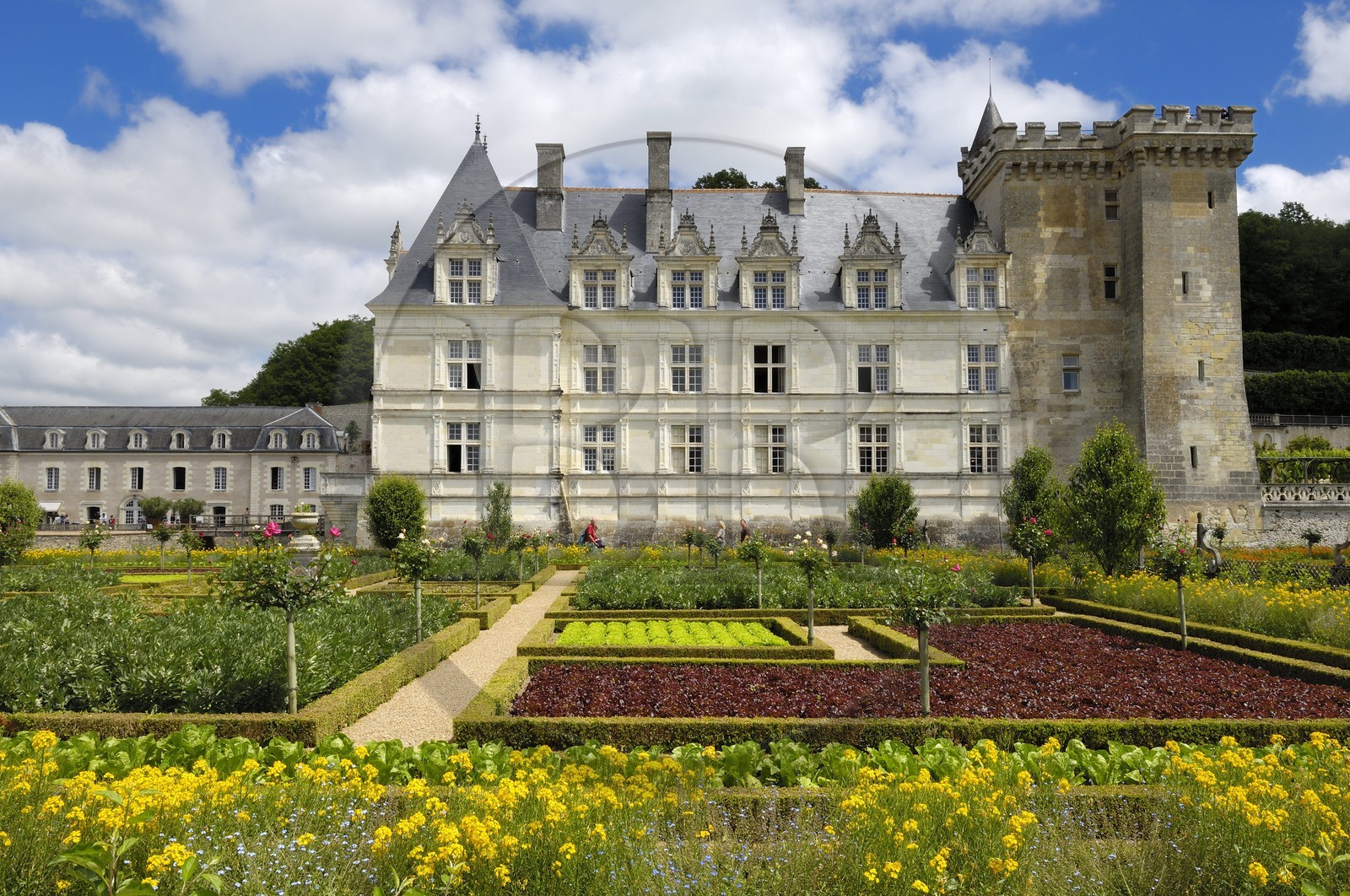 France, Indre-et-Loire (37), Vallée de la Loire classée patrimoine mondial de l'UNESCO, Villandry, le château de Villandry et ses jardins, propriété d'Henri et Angélique Carvallo