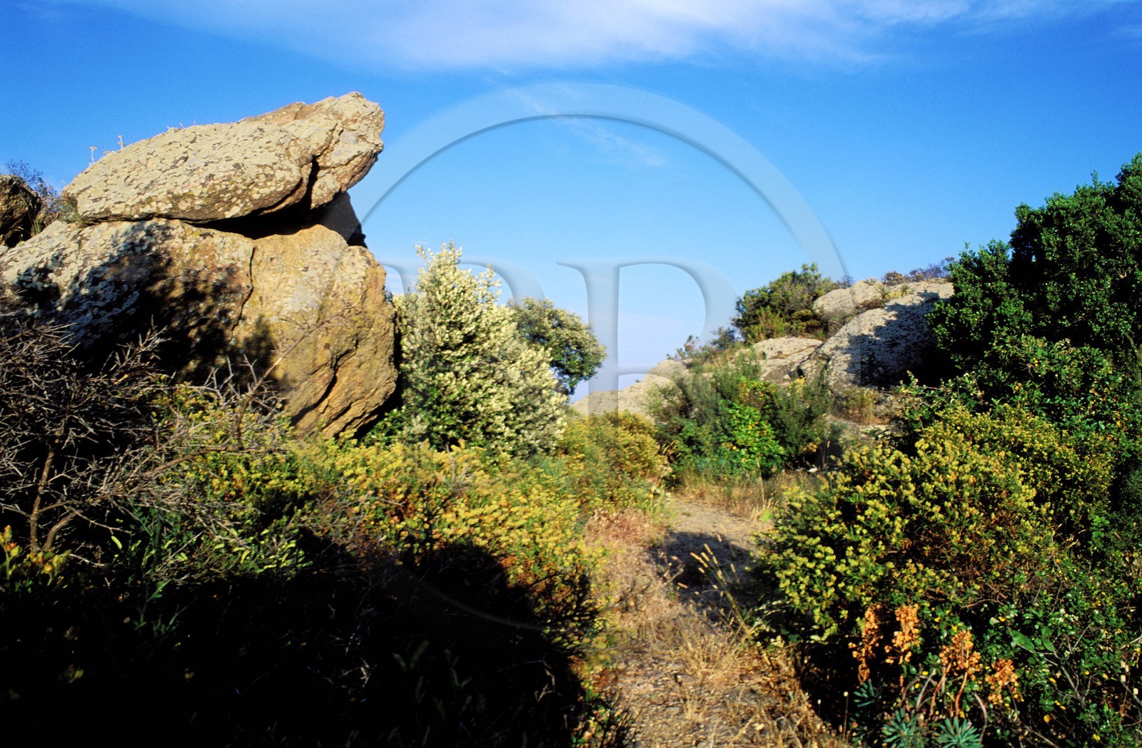 France, Var (83), le massif des Maures