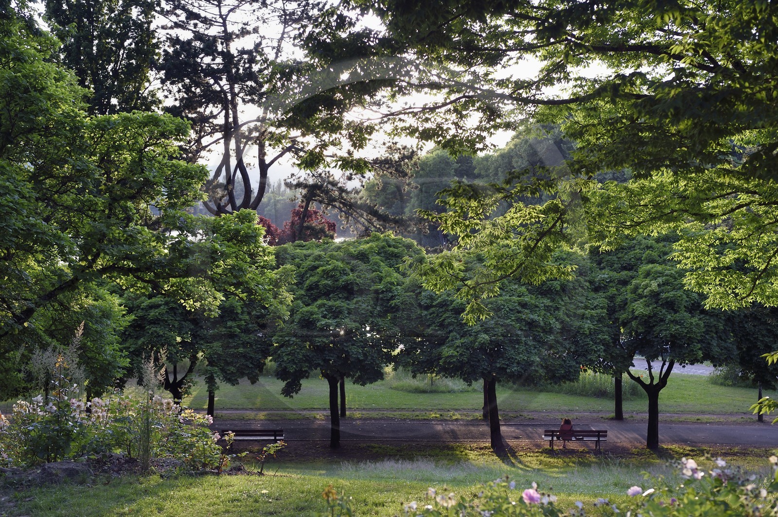 France, Moselle (57), Metz, le jardin des Régates bordé par la Moselle