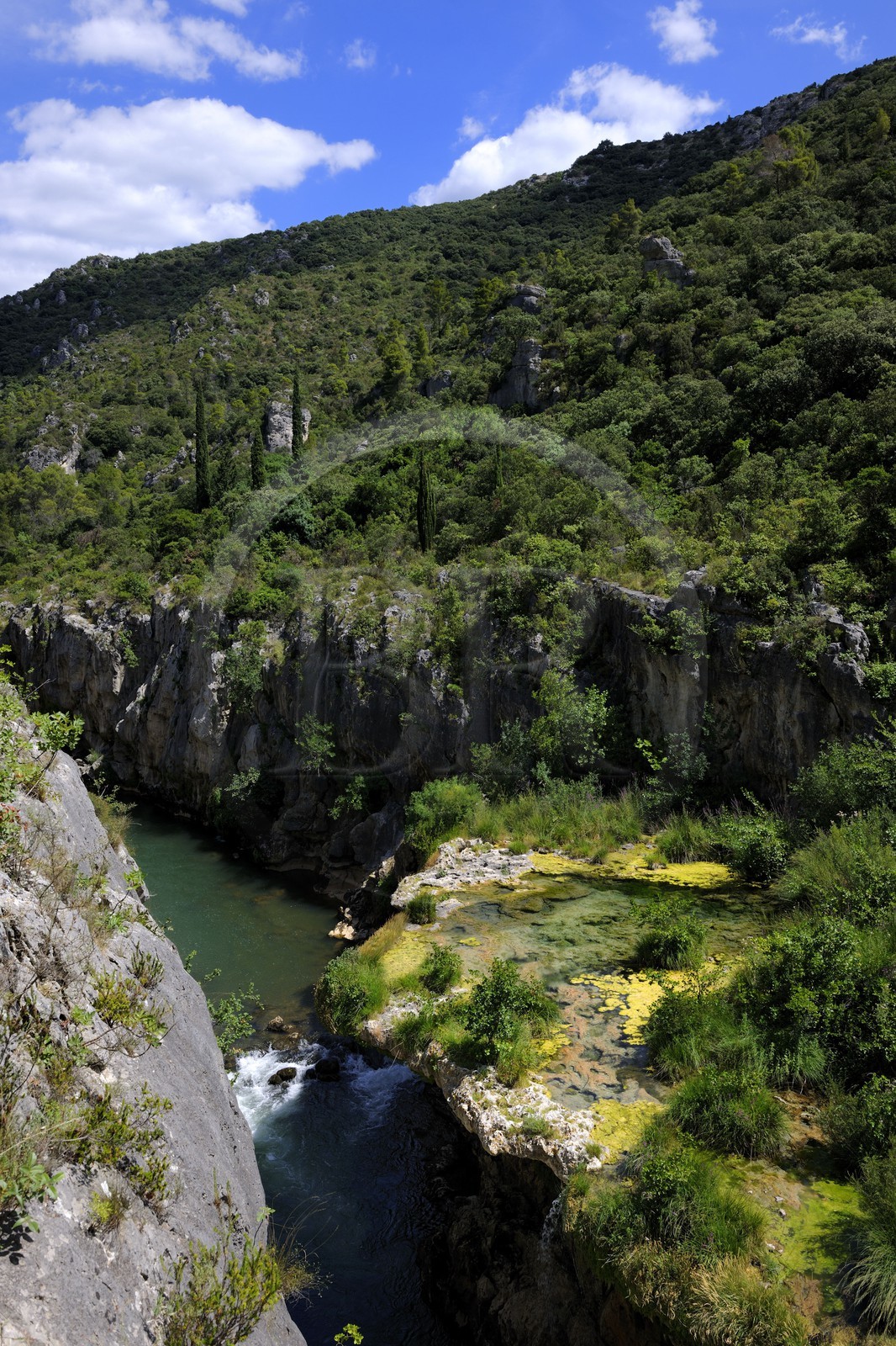 France, Herault, Gorges de l'Herault in the region of Saint-Guilhem-le-Désert