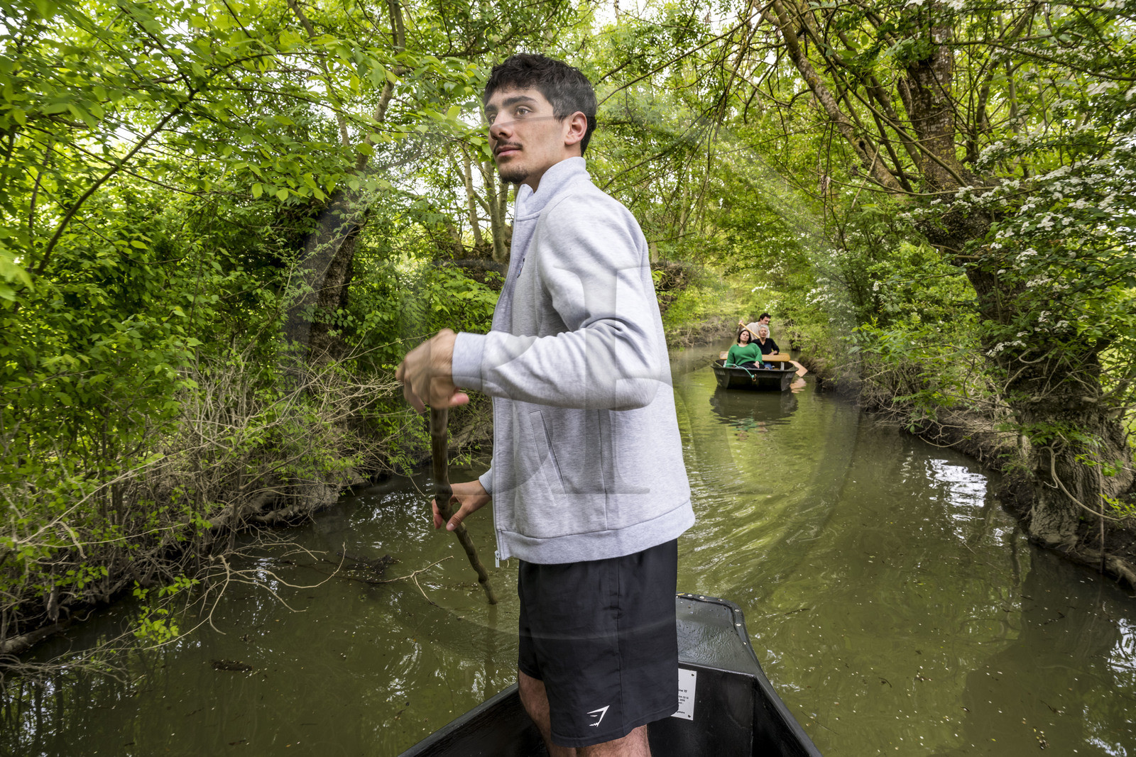 France, Vendée (85), Parc Interrégional du Marais Poitevin labellisé Grand Site de France, Maillezais, le batelier Mathis Babin armé de sa pigouille (perche en bois) pousse sa barque dans les conches sur les affluents de l'Autise