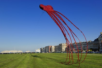 France, Seine-Maritime (76), Dieppe, cerf-volant géant sur la pelouse de la promenade maritime