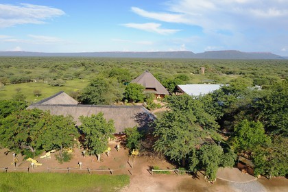 Namibie, Otjiwarongo, Cheetah Conservation Fund, centre de recherche et d'