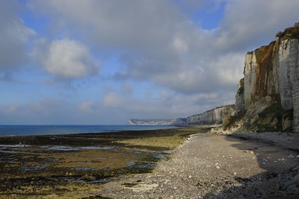 France, Seine-Maritime (76), Côte d'Albâtre, Yport, la plage au pied des falaises