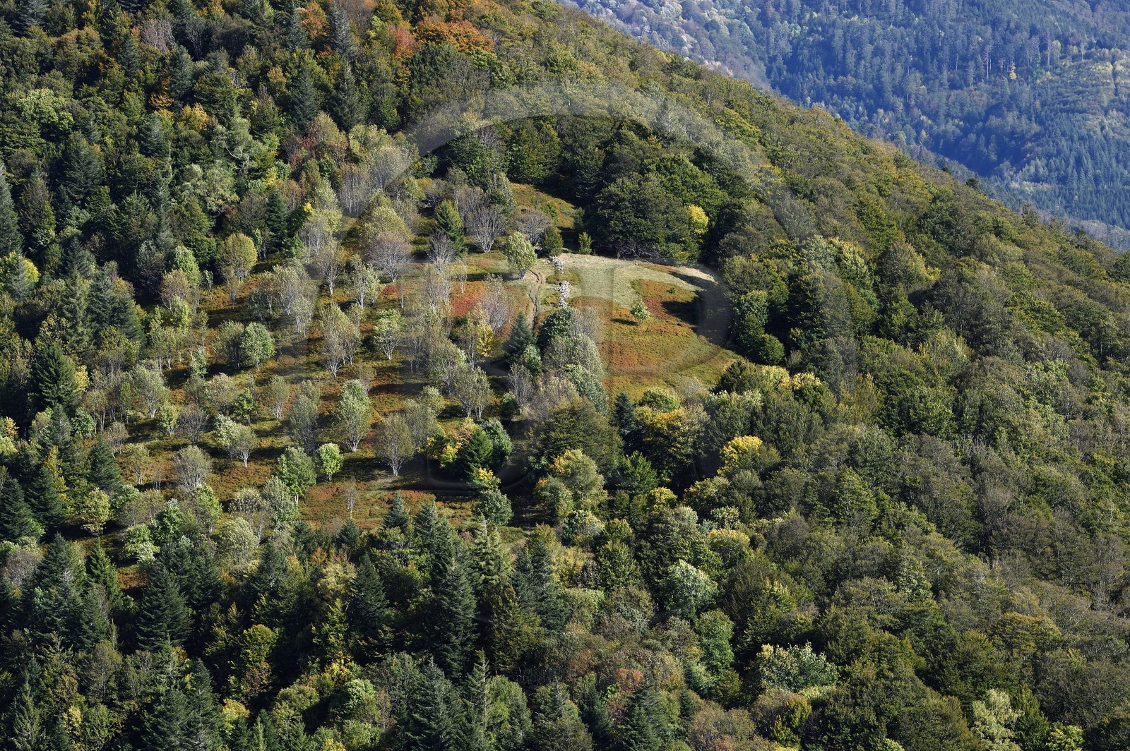 France, Haut-Rhin (68), Parc naturel régional des ballons des Vosges, Rimbach-près-Masevaux, petite chaume ( paturage extensif d'altitude) au dessus du Lac des Perches