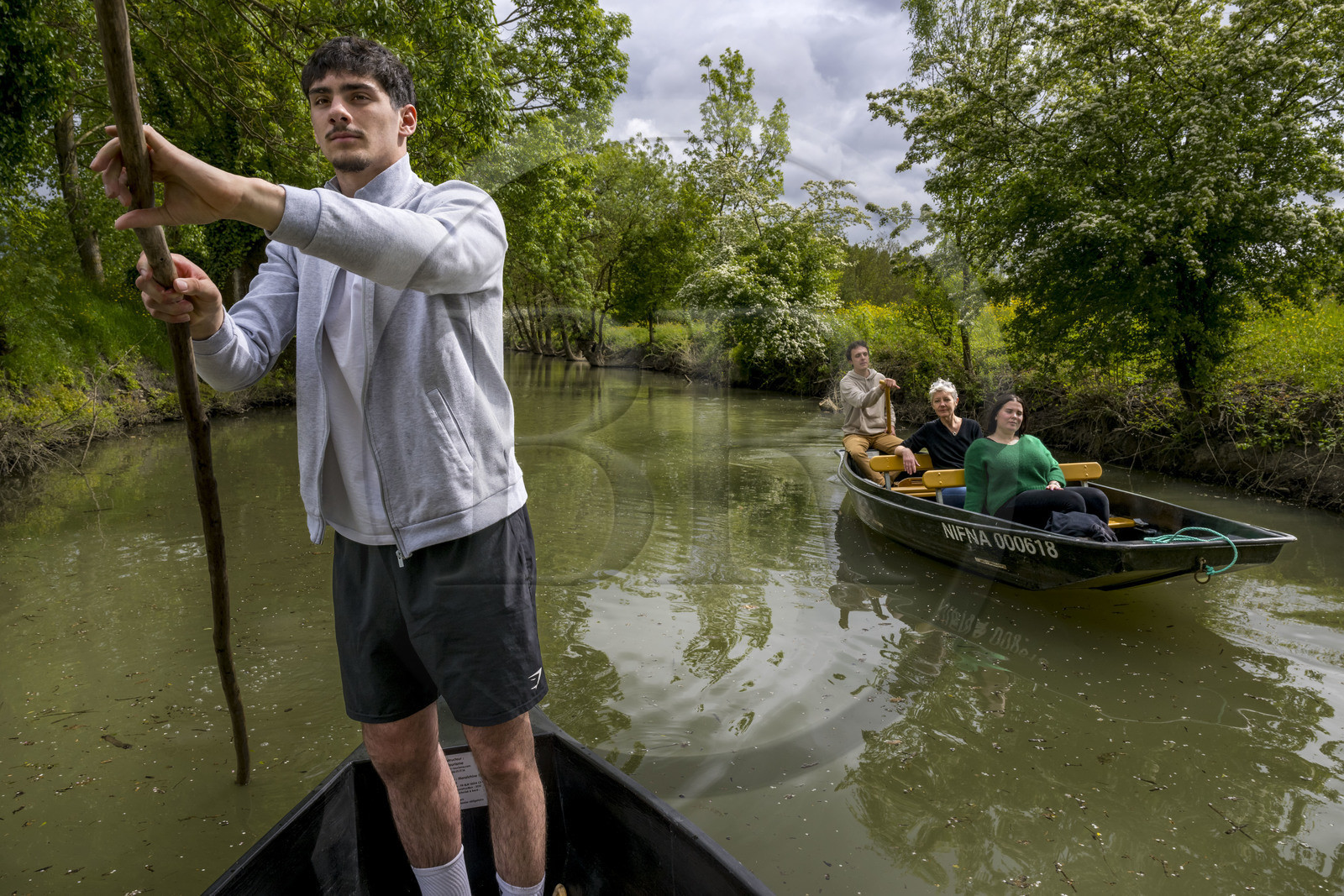 France, Vendée (85), Parc Interrégional du Marais Poitevin labellisé Grand Site de France, Maillezais, le batelier Mathis Babin armé de sa pigouille (perche en bois) pousse sa barque dans les conches sur les affluents de l'Autise