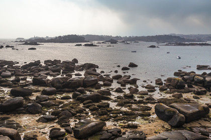 France, Cotes-d'Armor, Cote de Granit Rose, Trégastel, Renote island, the beach at low tide and Ploumanac'h in the background (aerial view)
