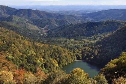 France, Vosges (88), Parc naturel régional des ballons des Vosges, Saint-Maurice-sur-Moselle, le Lac des Perches en dessous de Gazon Rouge, le village de Rimbach-près-Masevaux dans le Haut-Rhin, la plaine d'Alsace et les Alpes en arrière plan