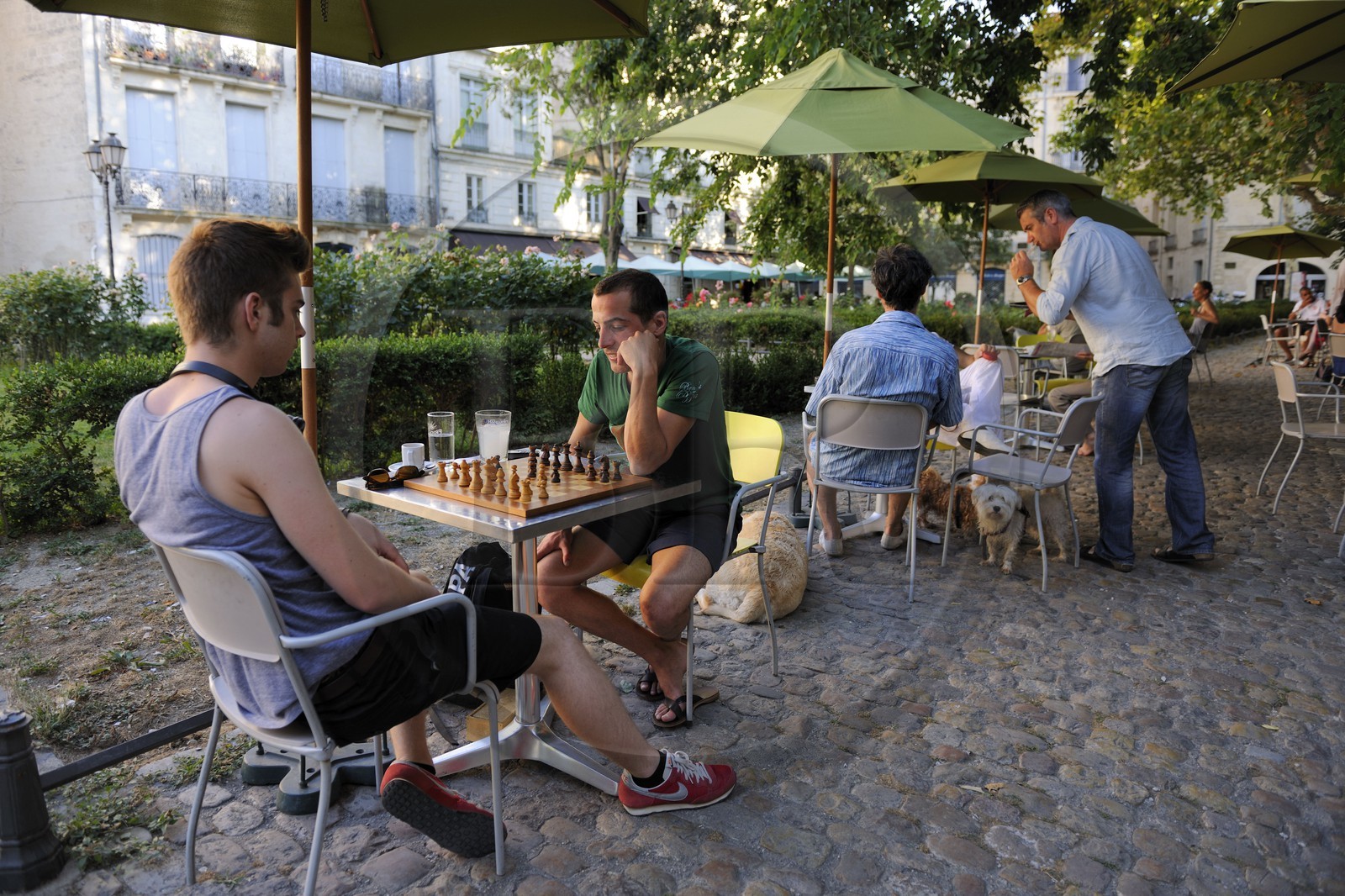 France, Hérault (34), Montpellier, centre historique, l'Ecusson, terrasse de café place du Canourgue