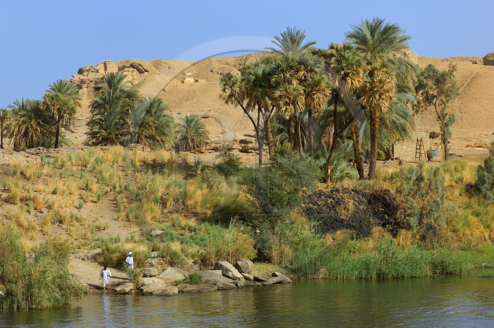 Egypt, Upper Egypt, Nile Valley, the Nile river between Edfou and Kom Ombo