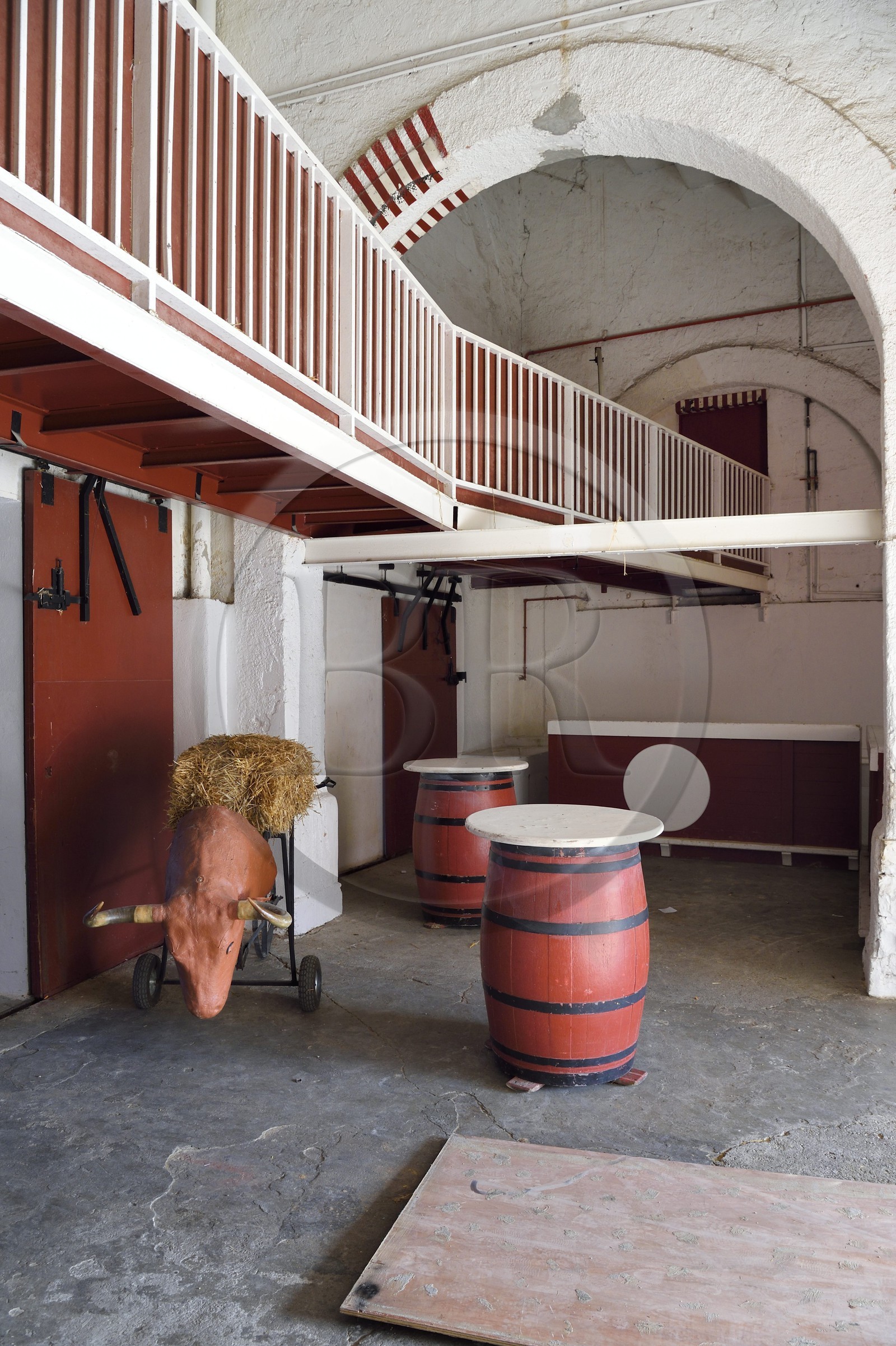 France, Pyrénées-Atlantiques (64), Pays-Basque, Bayonne, les arènes, faux taureau destiné aux entrainements