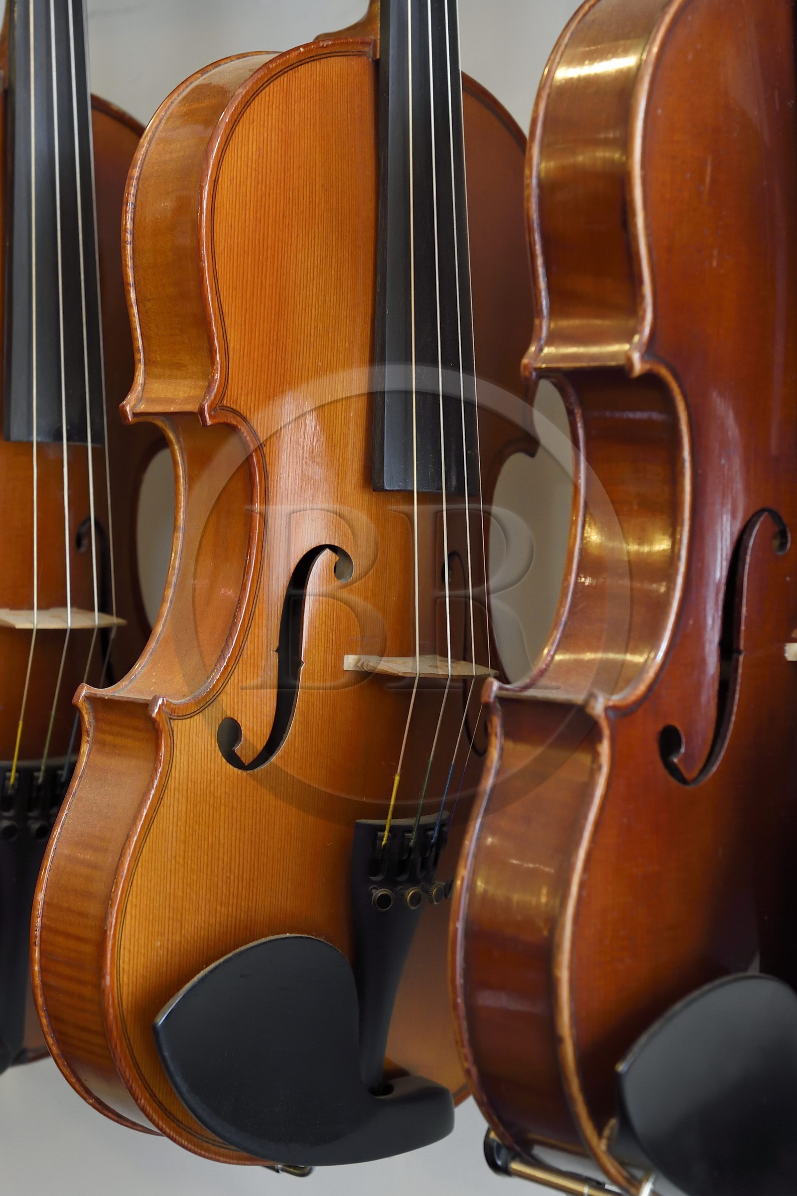 France, Dordogne (24), Périgord Blanc, Périgueux, atelier du luthier Damien Florio