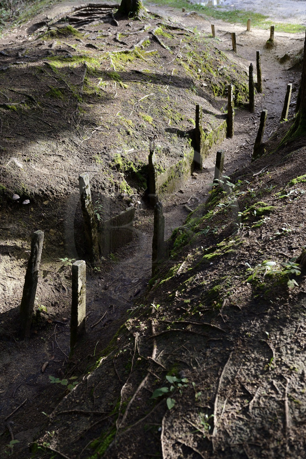 France, Meuse (55), Douaumont, bataille de Verdun, le boyau de Londres, cette artère de communication réalisée en 1917 reliait le fort de Douaumont aux lignes de l'arrière