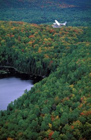 Canada, Quebec Province, overfly in seaplane of the national park of Mauricie (aerial view)